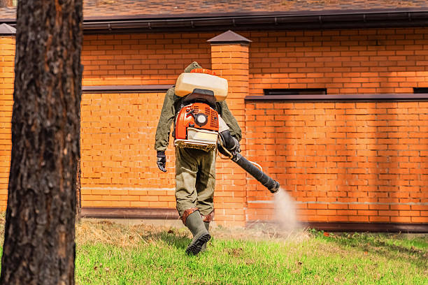Trusted Cockroach Control service in Medina, TN - Nex Pest Control
